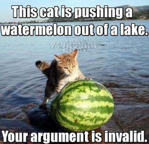 cat-watermelon-argument-invalid.jpg
